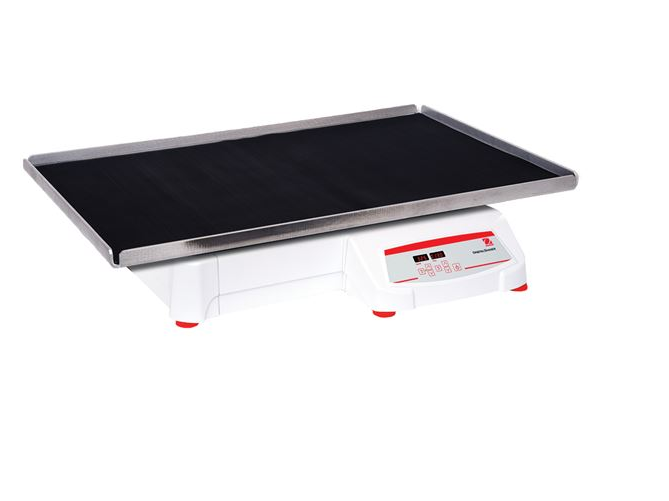 美國奧豪斯，OHAUS，脫色搖床，回旋振蕩器，圓周振蕩器，大負載圓周式搖床，SHHD6825DG