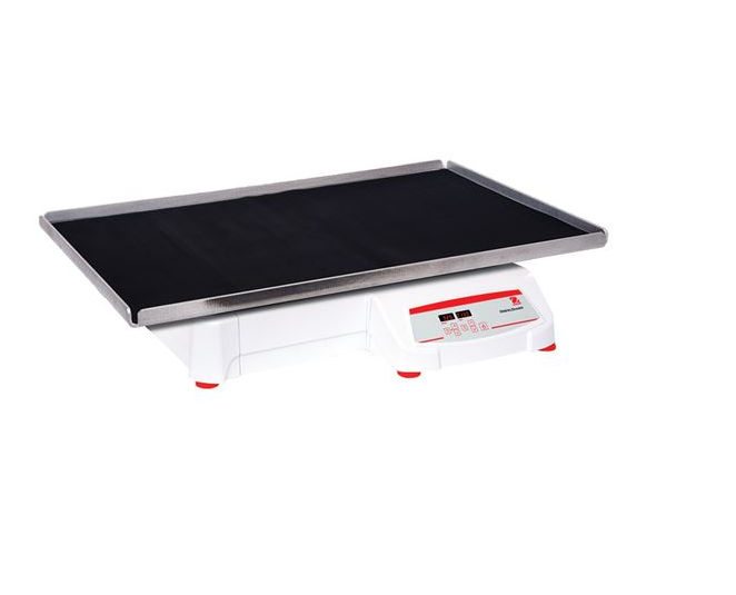 美國奧豪斯，OHAUS，脫色搖床，回旋振蕩器，圓周振蕩器，大負載圓周式搖床，SHHD6850DG